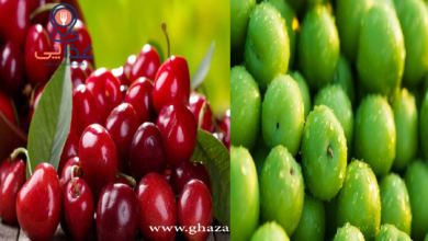 این افراد لب به گوجه سبز و آلبالو نزنند
